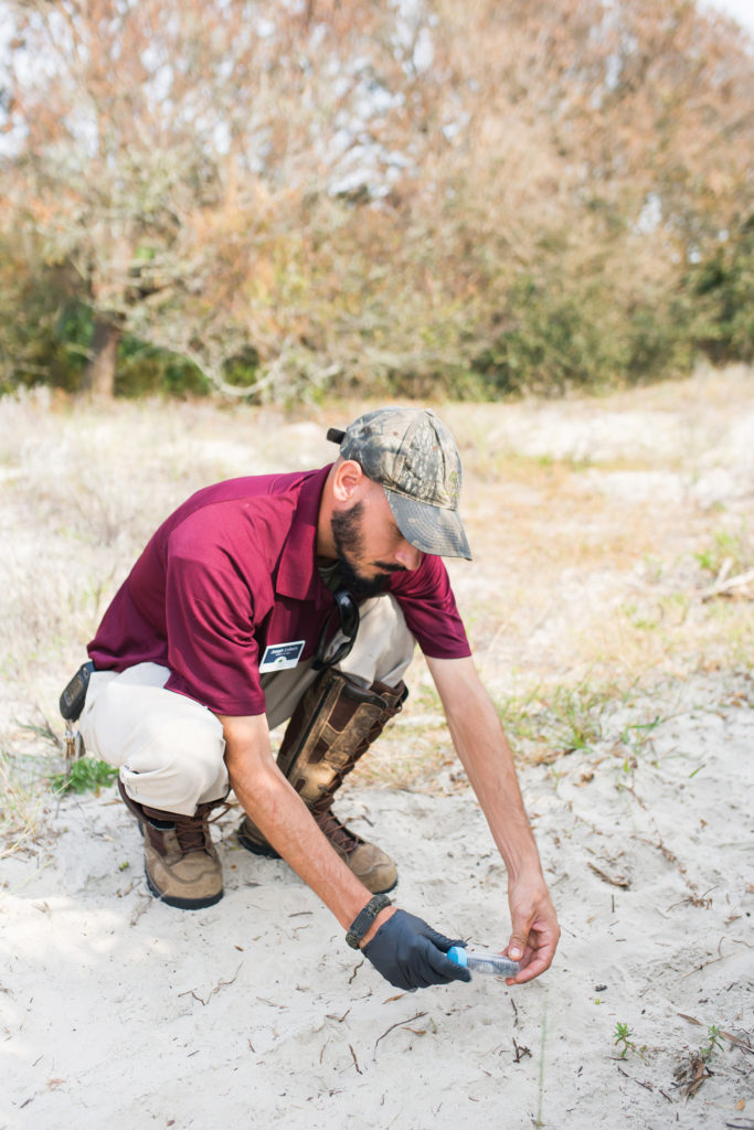 Bobcat Specimen Sampling