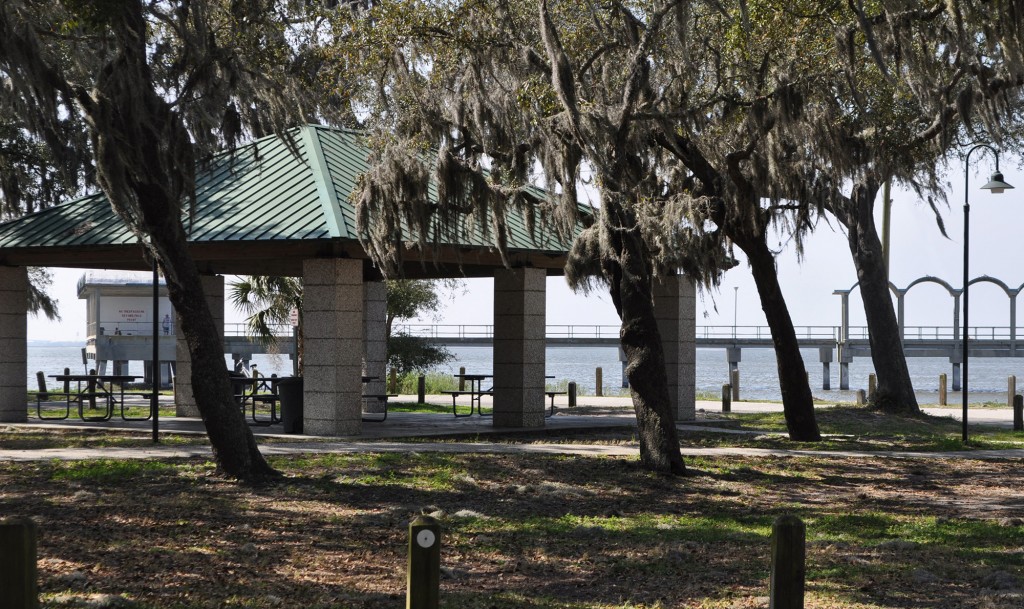 Clam Creek Picnic Area