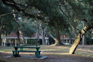 South Dunes Picnic Area