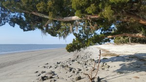 St. Andrews Beach