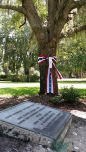 Bicentennial Oaks