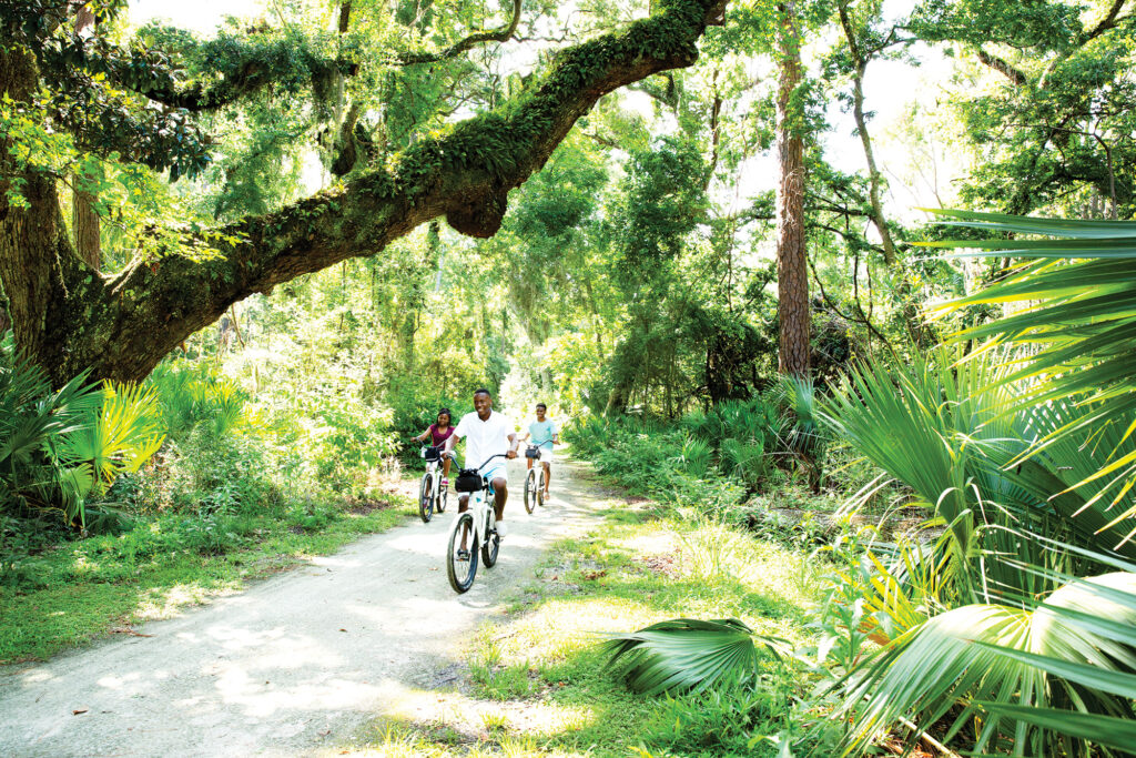 Biking through the maritime forest