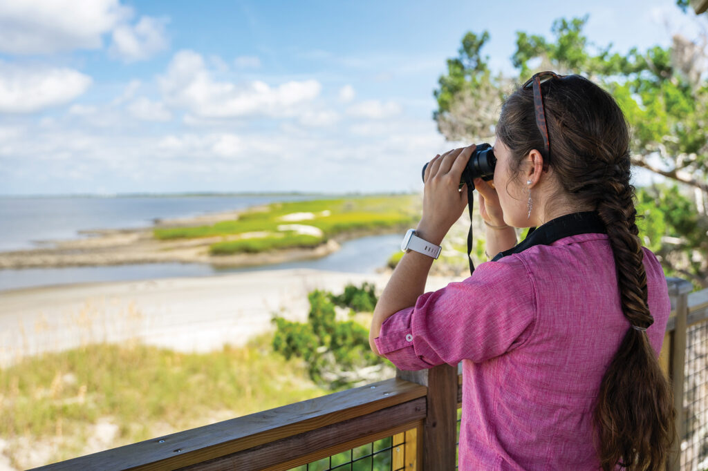 Bird watching at the beach