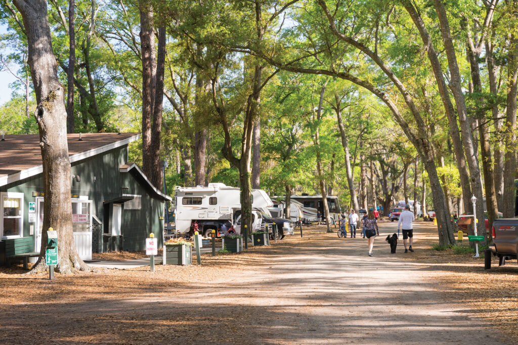 Campground road