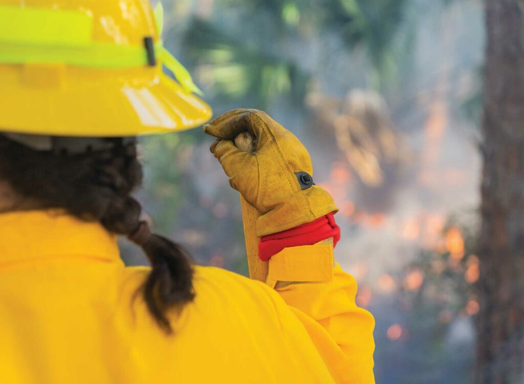 Supervising a controlled forest fire