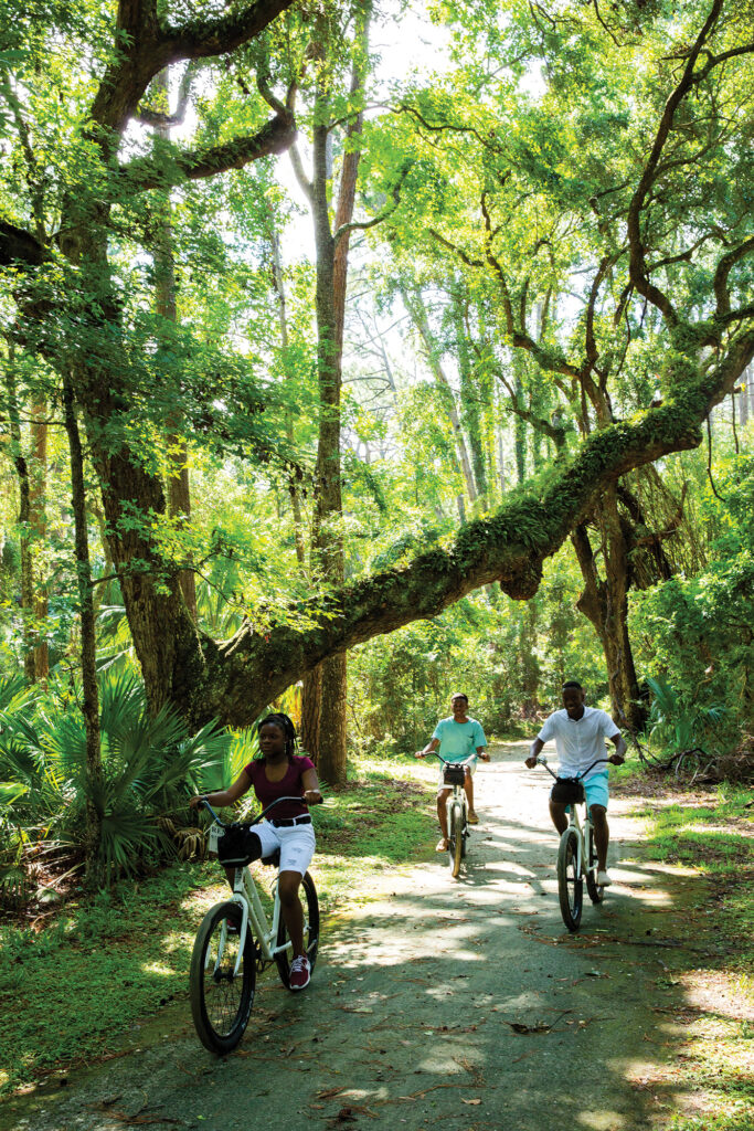 Biking through the forest