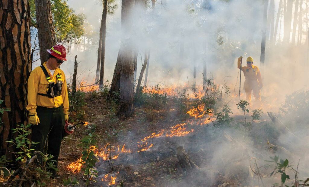 Controlled burn at Oleander Golf Course