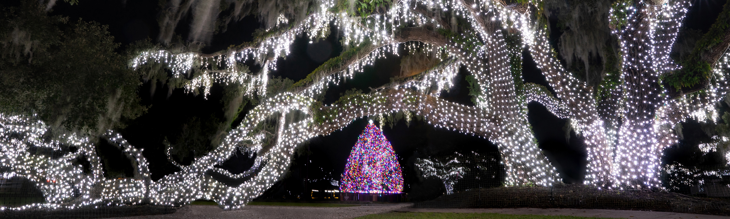 Jekyll Island Christmas Tree Lighting Festival 2022 Holly Jolly Jekyll • Jekyll Island, Georgia • Vacation, Conservation, And  Education Destination
