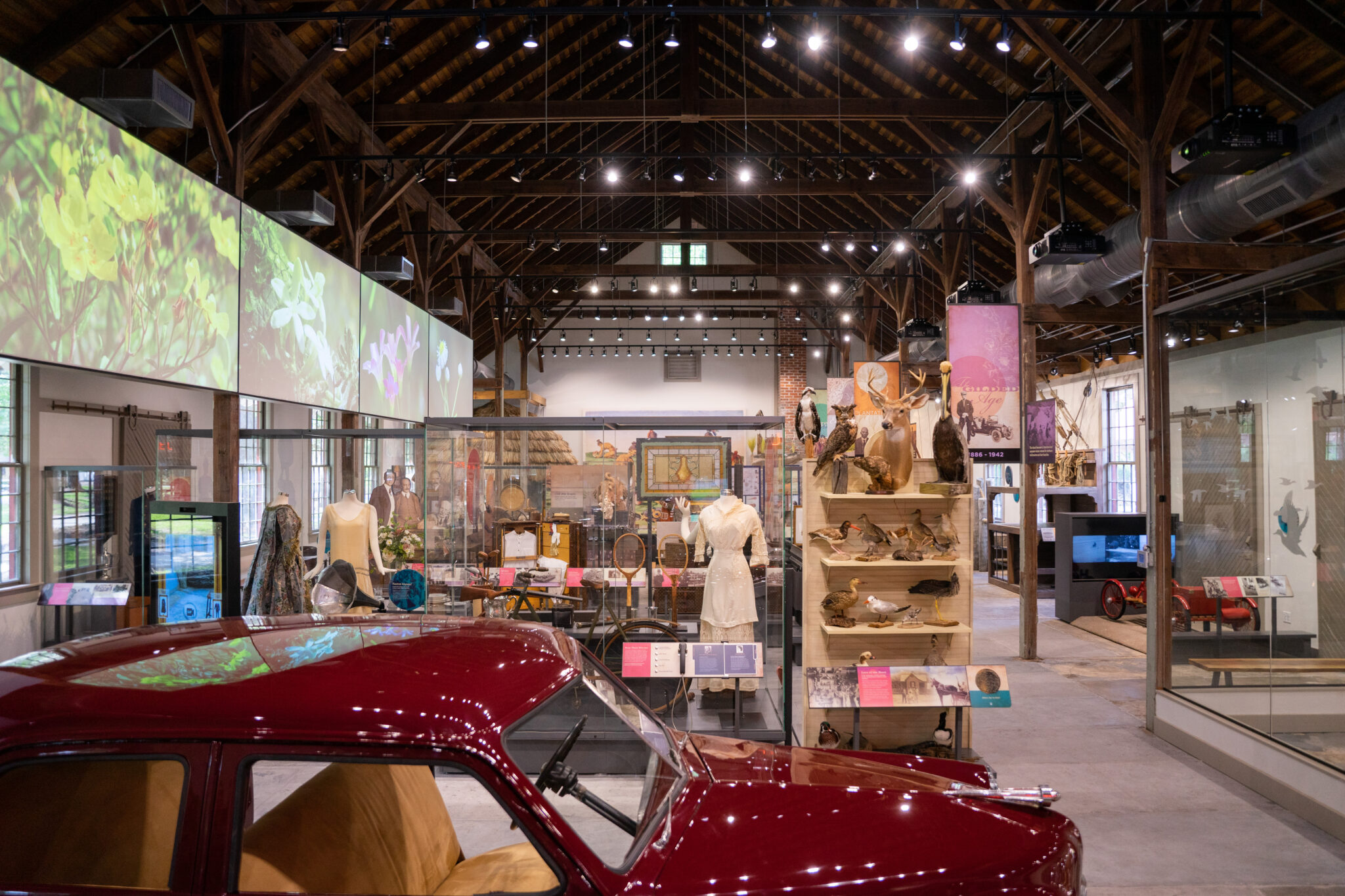 Activities • Jekyll Island, • Vacation, Conservation, and