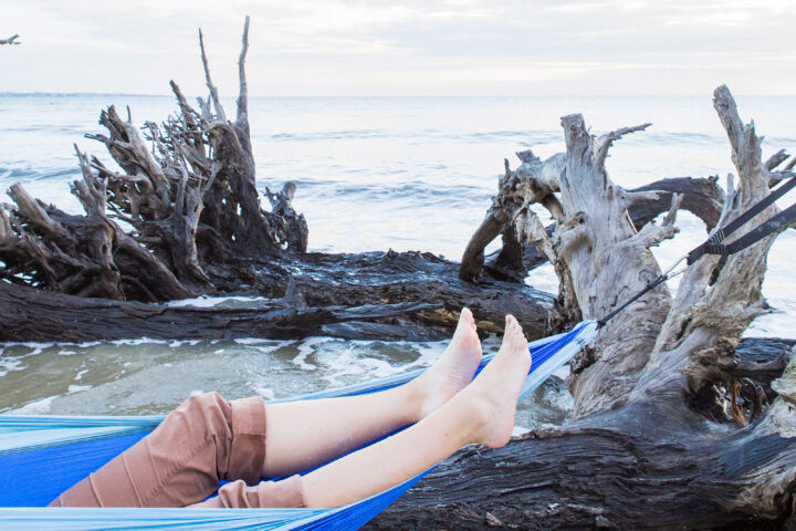 Hammock on Driftwood Beach