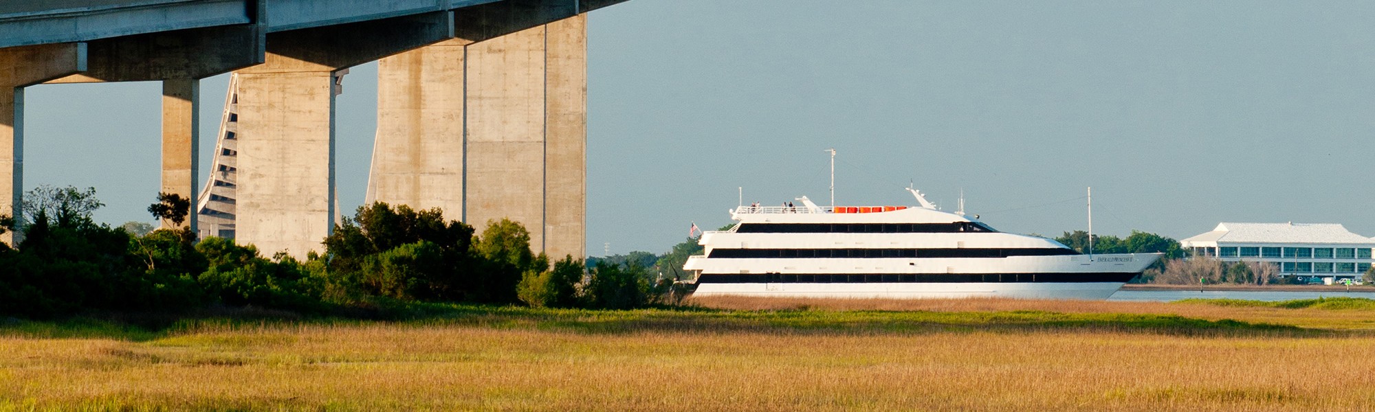 Emerald Princess Casino Cruise