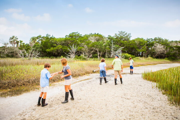 Environmental Stewardship