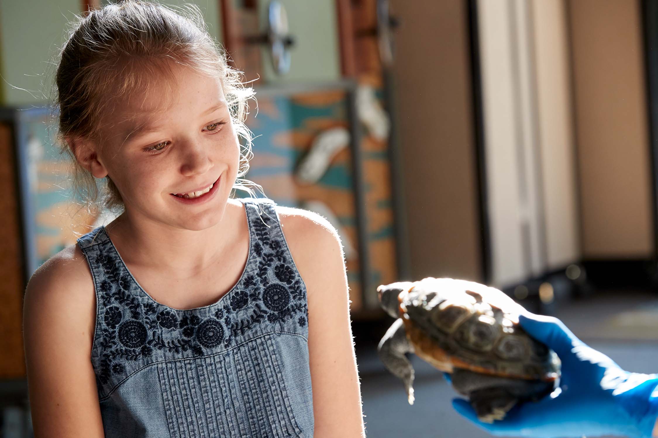 Education at Georgia Sea Turtle Center