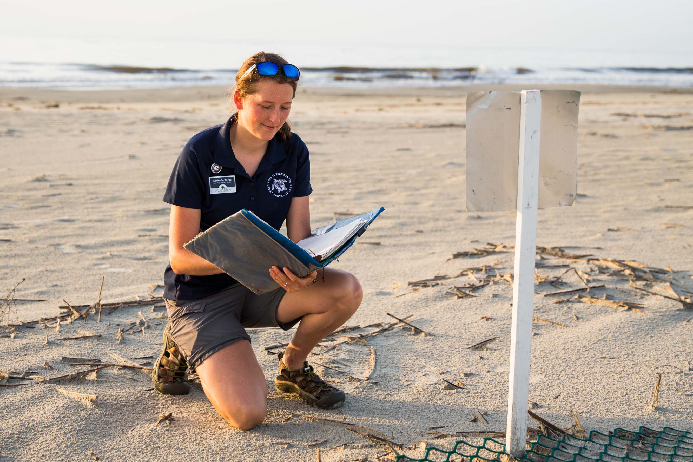 Research at Georgia Sea Turtle Center