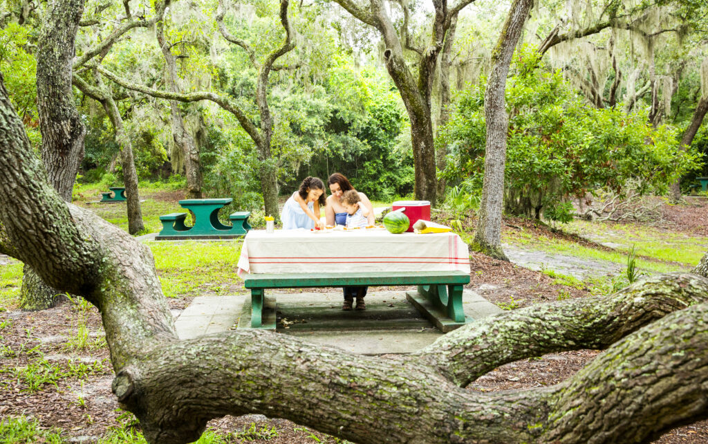 Picnic Areas • Jekyll Island, • Vacation, Conservation, and