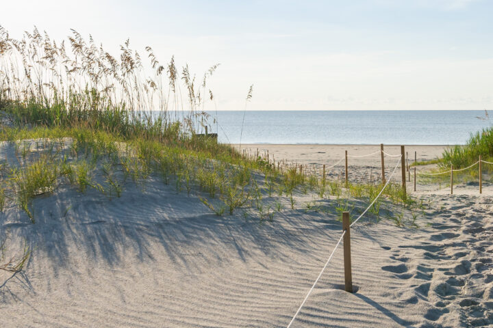 Great Dune Beach Access