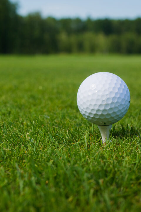Golf Ball Tee Time