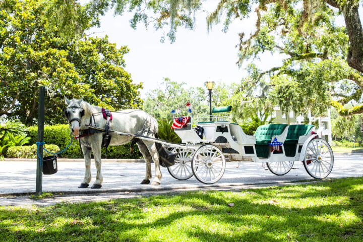 Horse-Drawn Carriage in Historic District