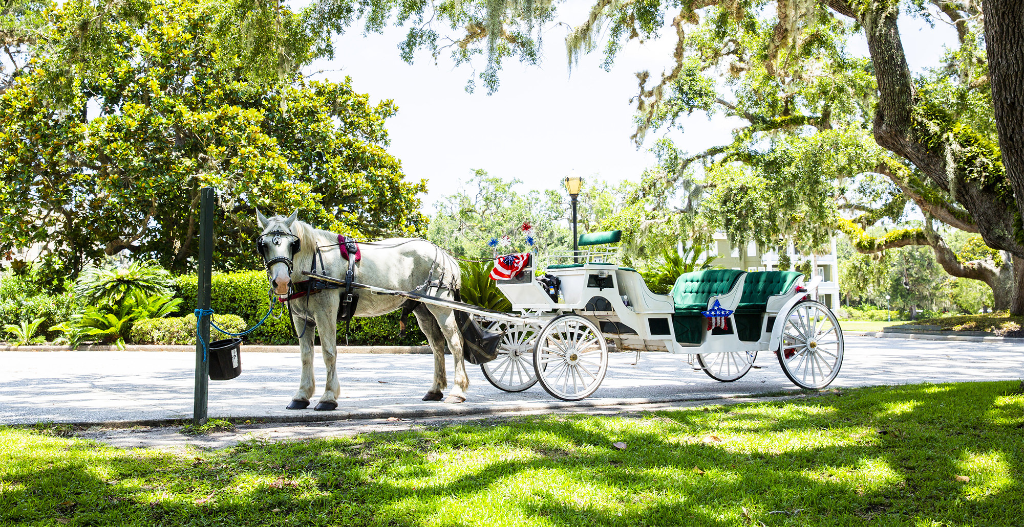 jekyll island group tours