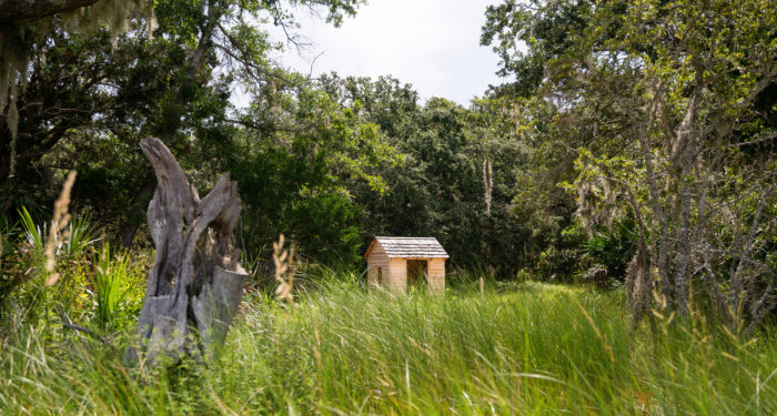 Wanderer Memory Trail on Jekyll Island