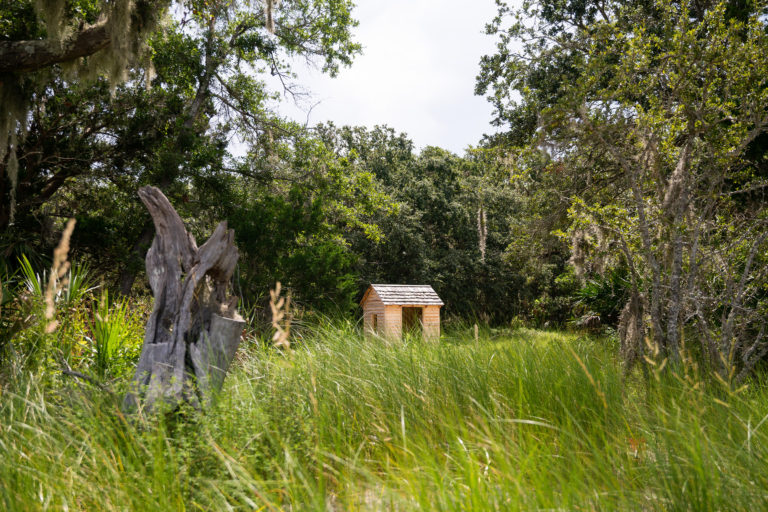 Wanderer Memory Trail on Jekyll Island