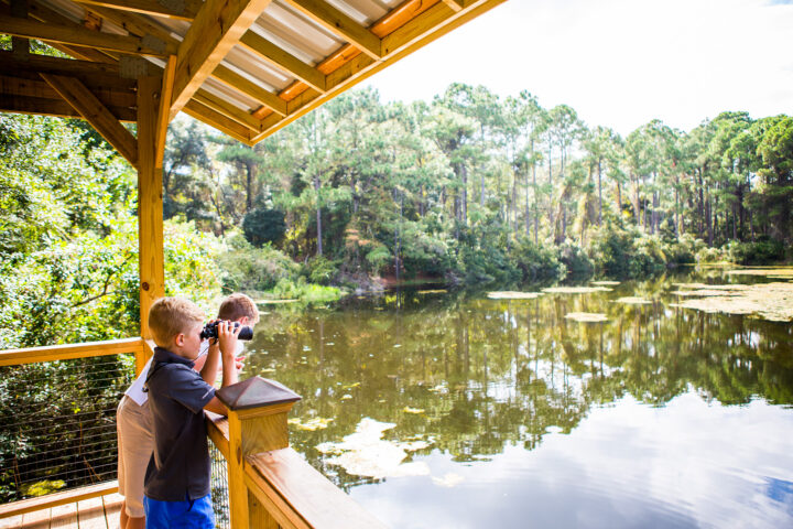 Horton Pond Overlook sustainable travel