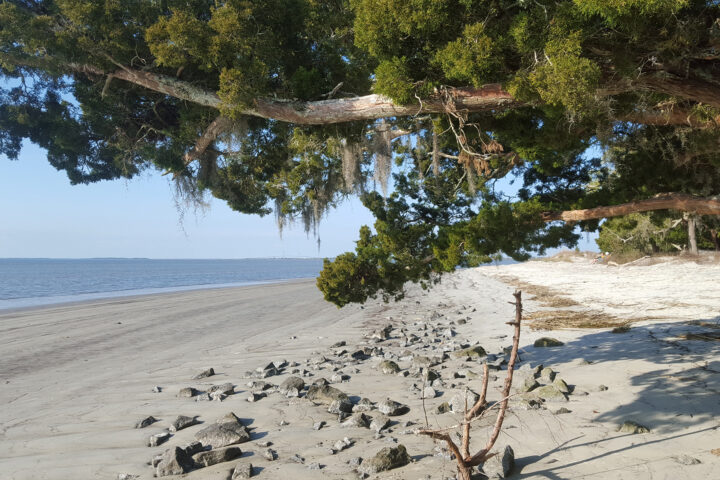 St. Andrews Beach