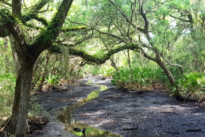 Watershed Protection Plan