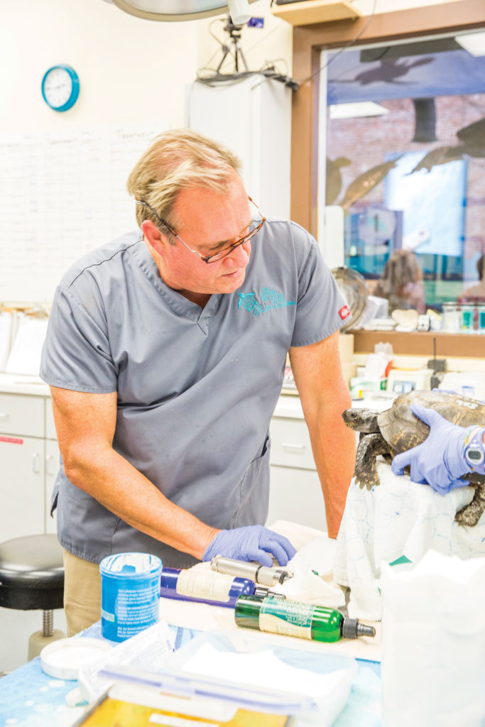 Dr. Terry Norton Inspecting Patient