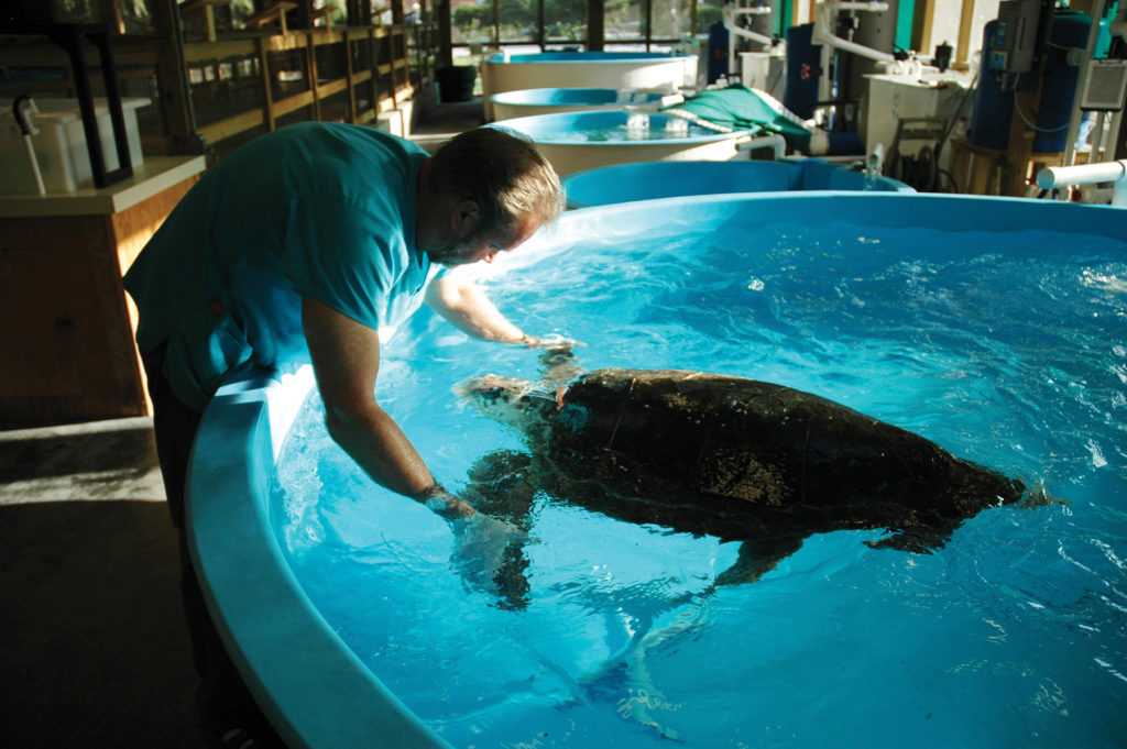 Dr. Terry Norton Inspecting Patient