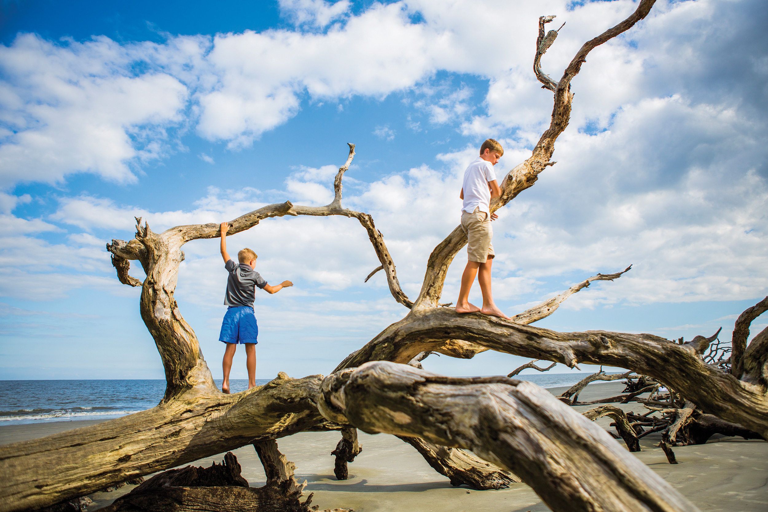 Climbing on Driftwood Beach trees