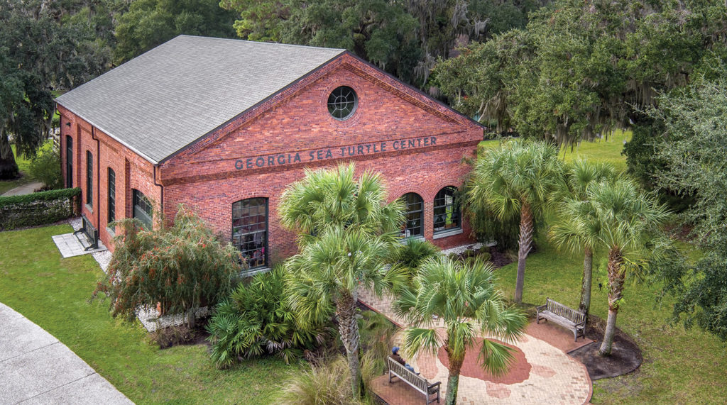 Georgia Sea Turtle Center