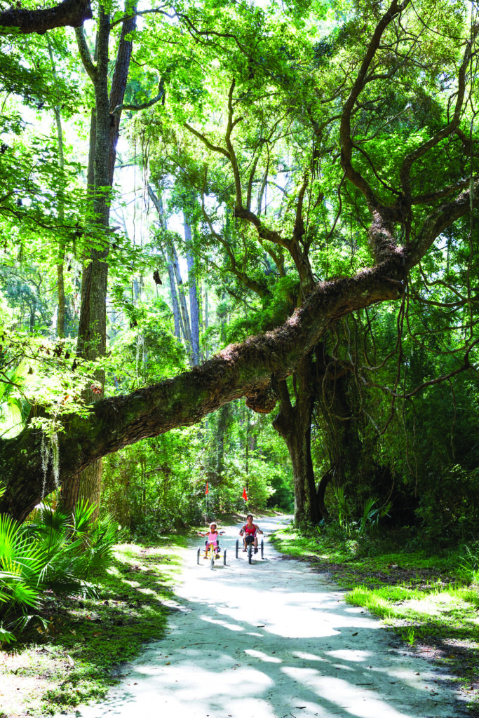 Biking in the Maritime Forest