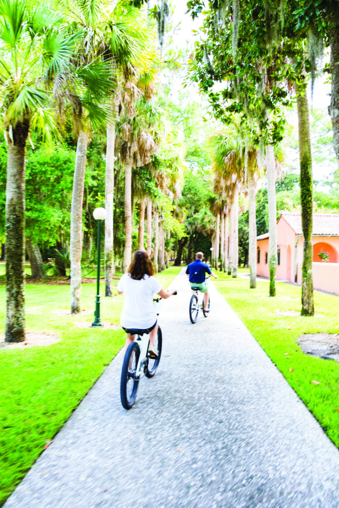 Biking amidst palm trees