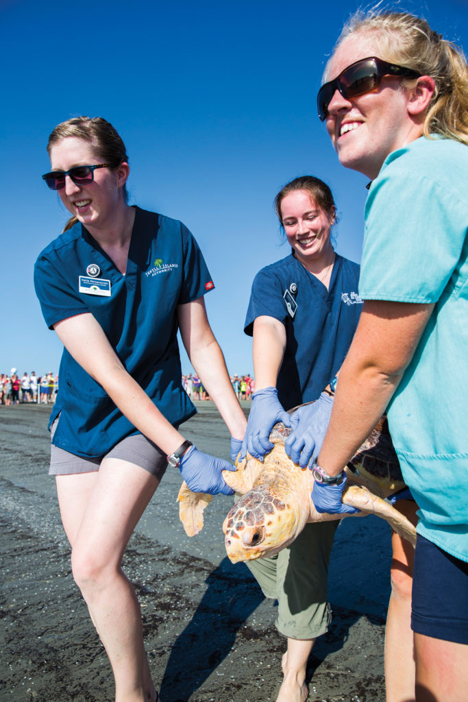 Releasing Sea Turtle