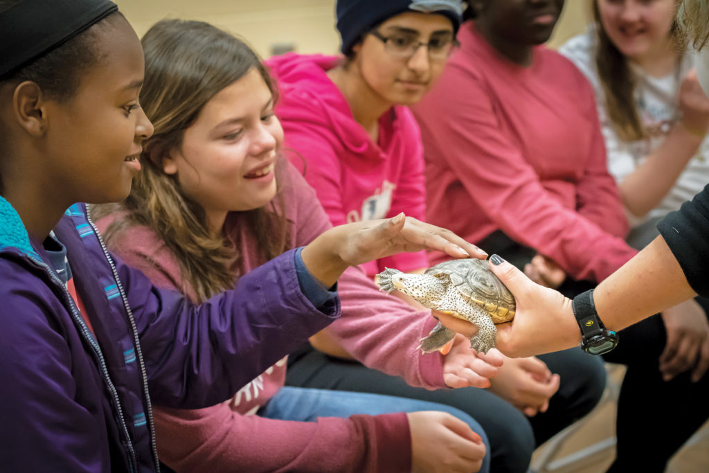 Camp Jekyll Education