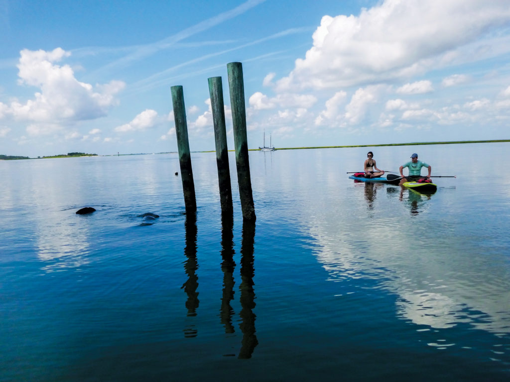 Saint Simons Paddleboard and Kayak