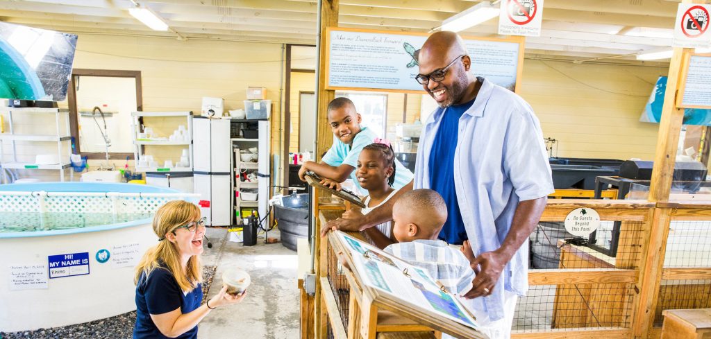 Family Touring the Georgia Sea Turtle Center