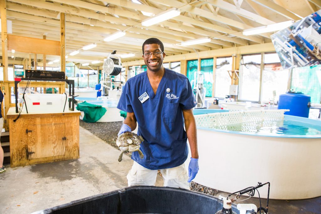 Sea Turtle Behind the Scenes Tour