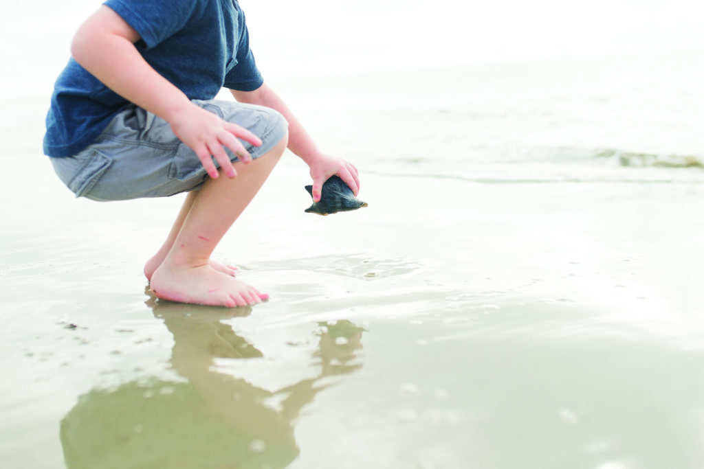 Shell Hunting