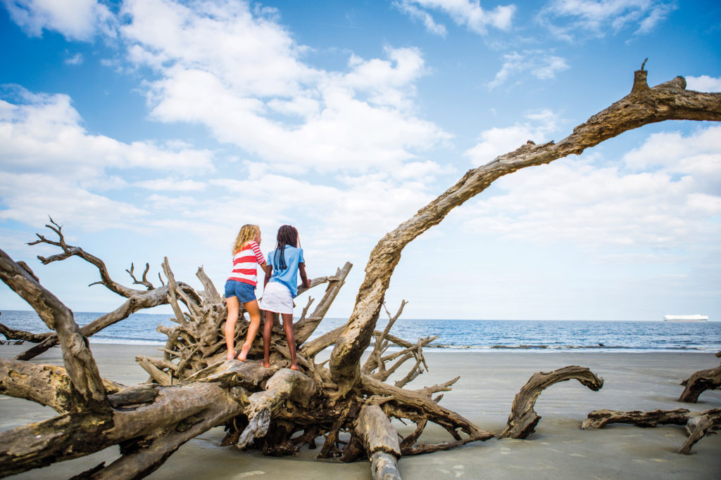 Beach Views: Driftwood Beach