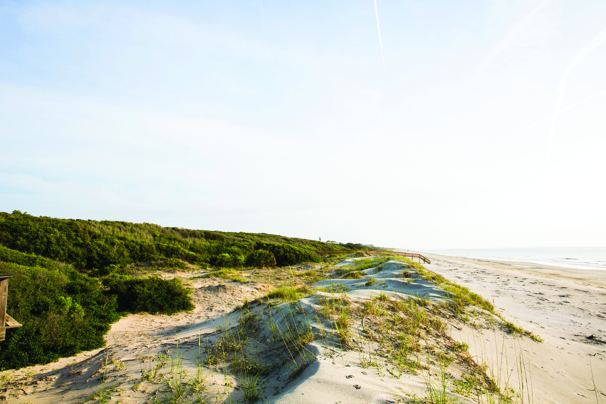 Beach Views: South Dunes