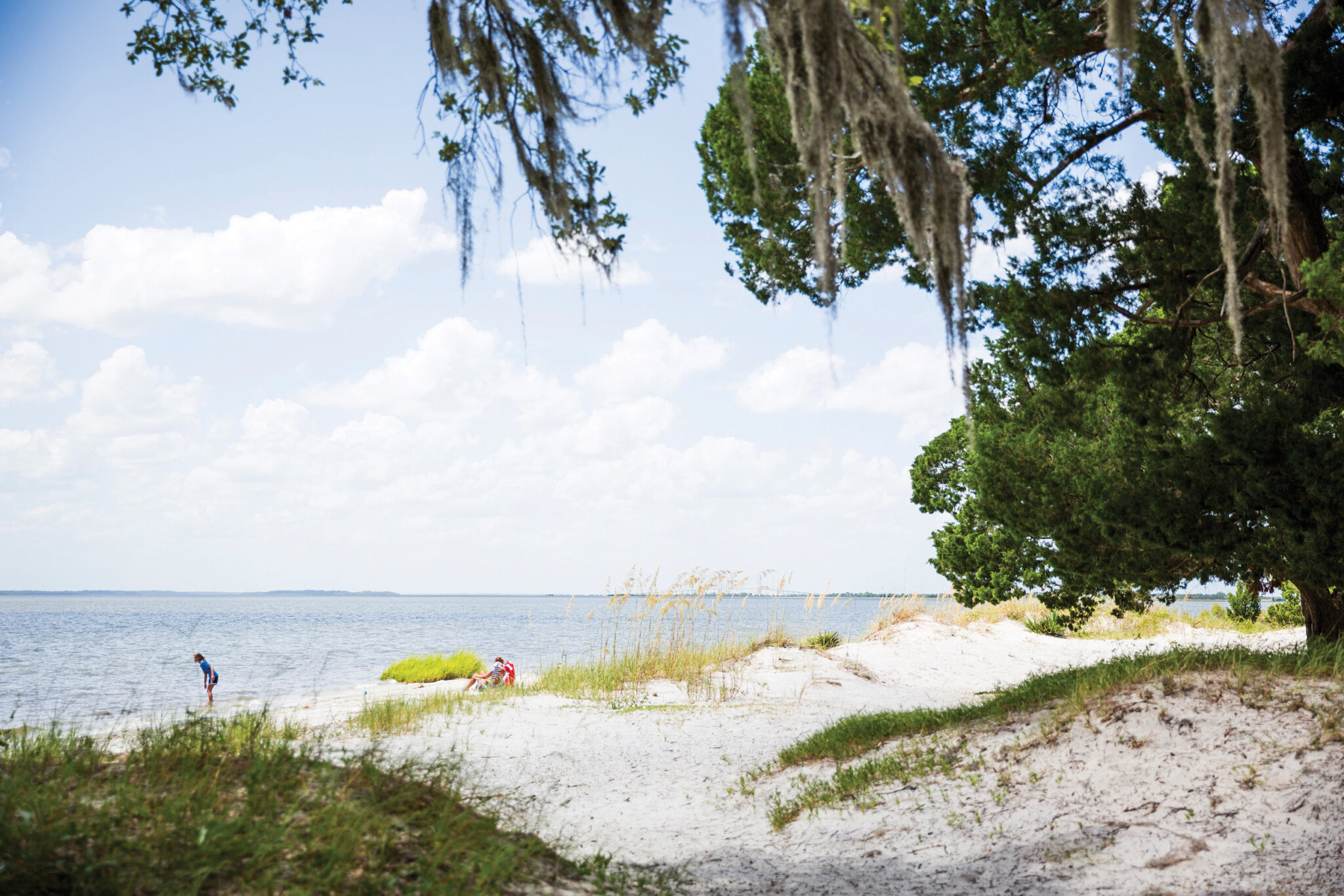 A Guide to 10 Miles of the Best Jekyll Island Beaches • Jekyll Island