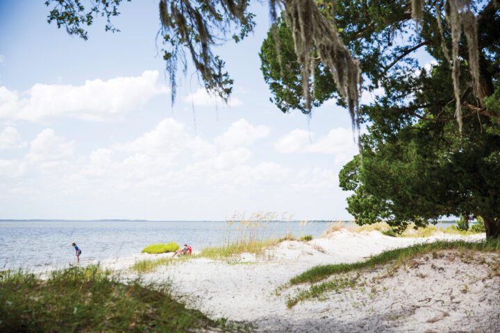 St Andrews Beach Best Jekyll Island Beaches