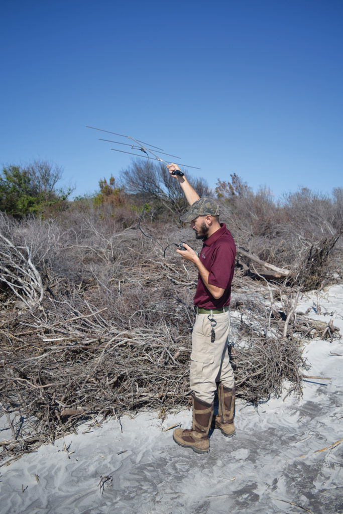 Snake Charmed: Snake Tracking