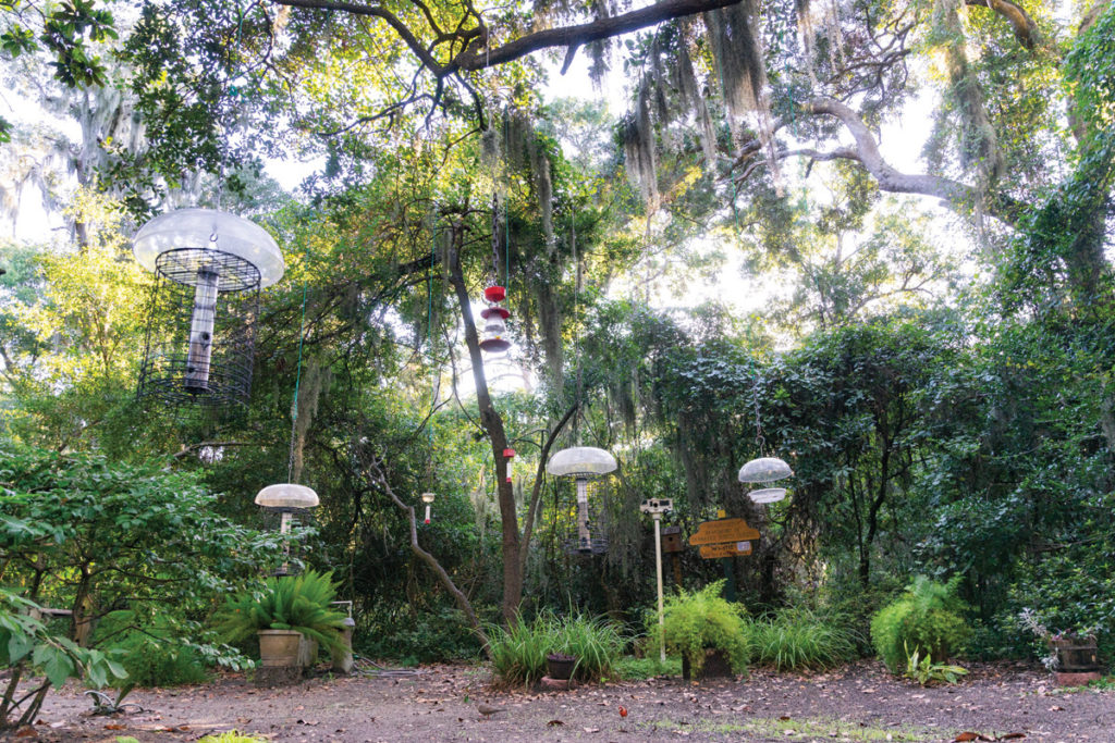 Bird Sanctuary at Jekyll Island Campground