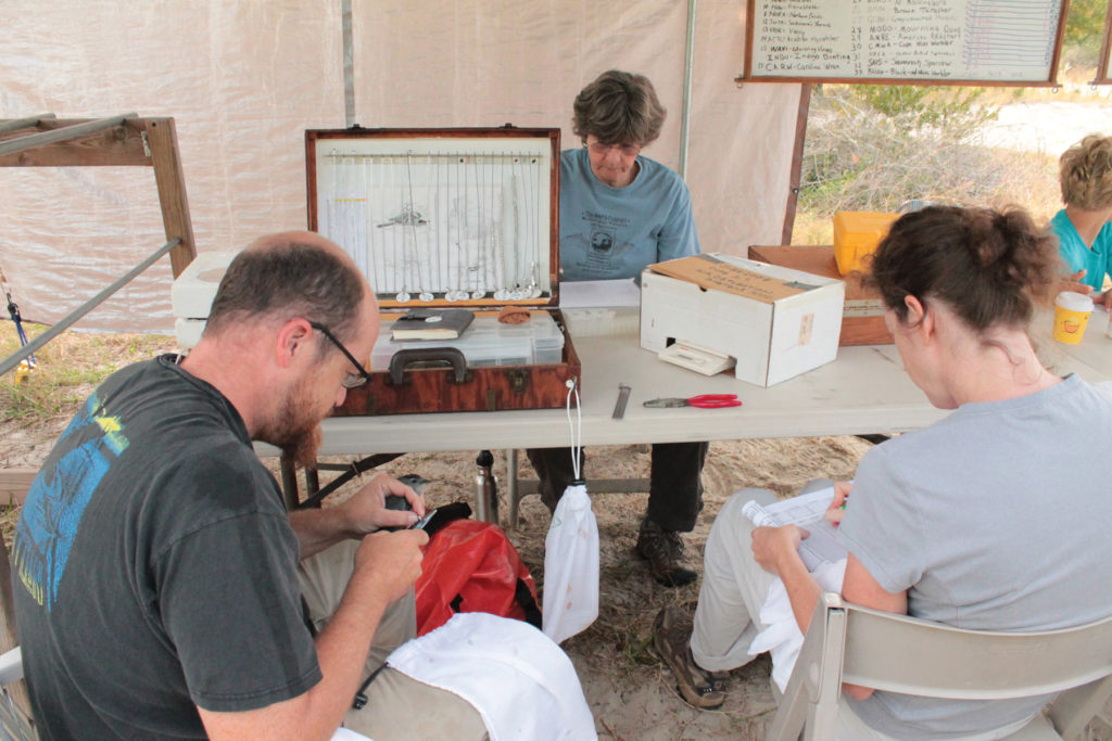 Bird banding