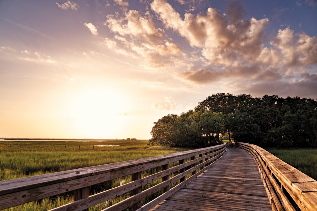 Airport Boardwalk