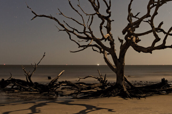 Driftwood Beach