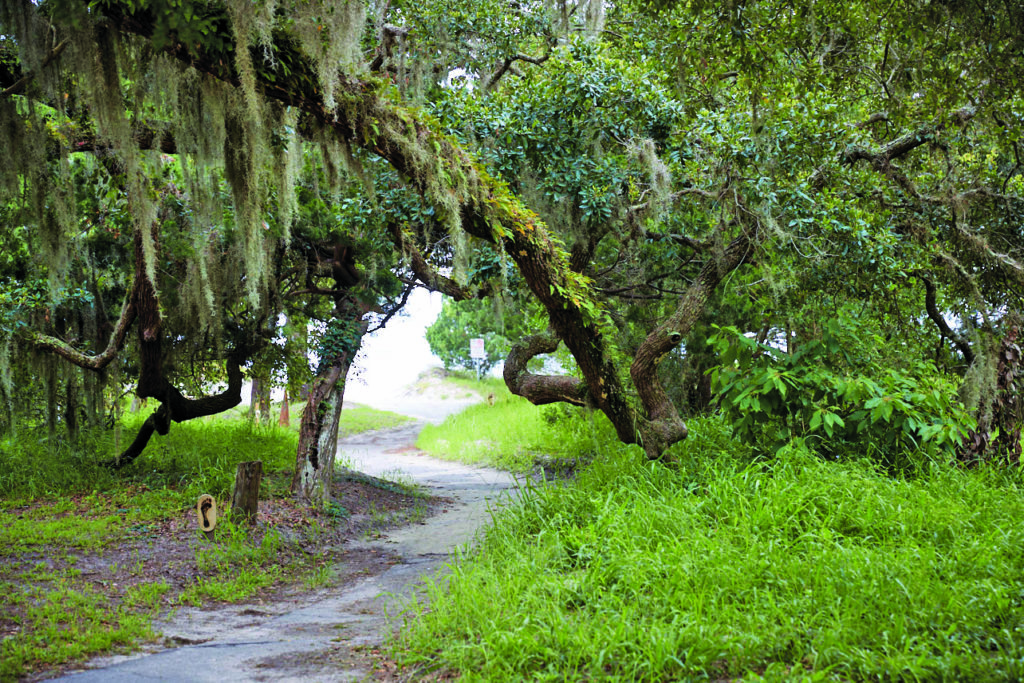 Wanderer Memorial Trail